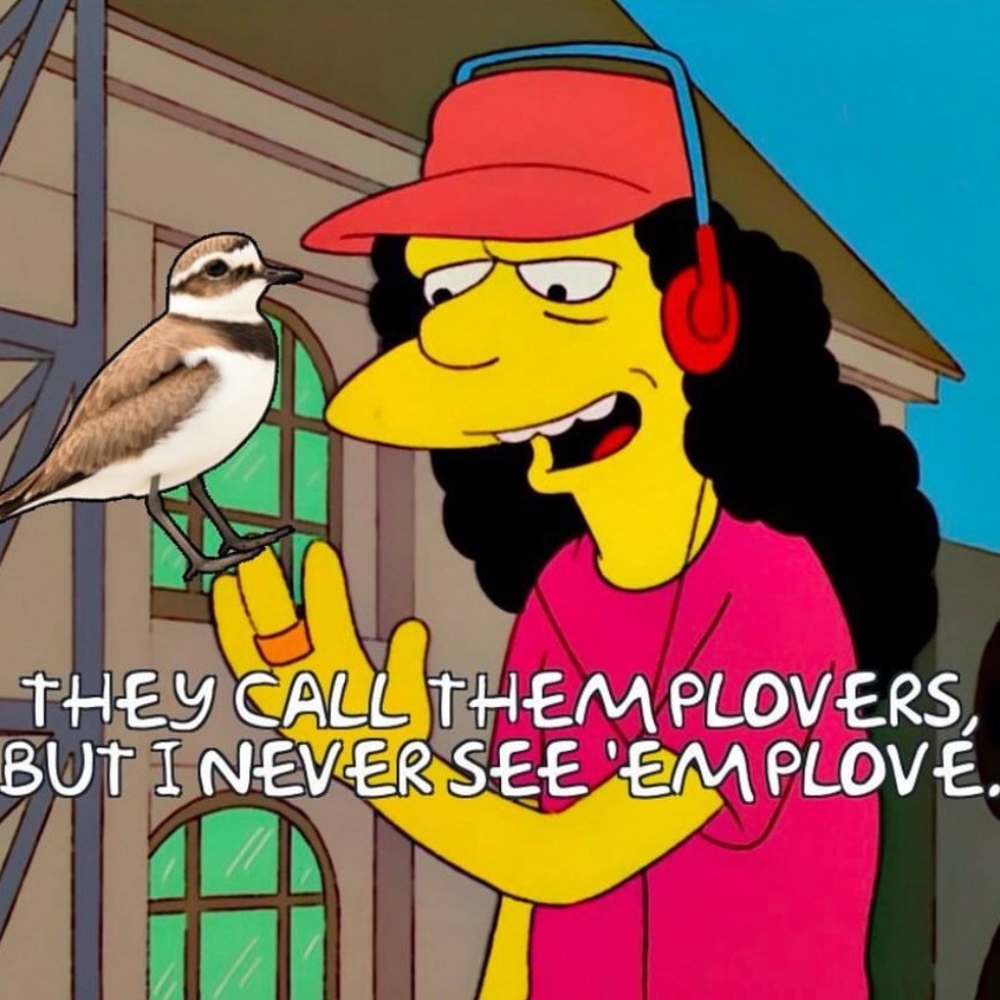 Meet your Posher, Corey